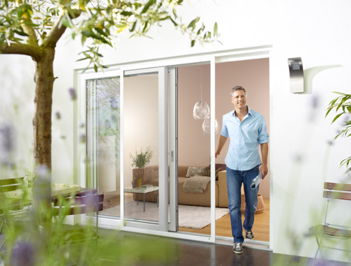 drsni_komarnik_slika